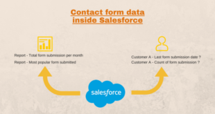 Contact form data inside salesforce