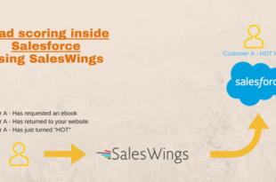 Lead scoring inside salesforce using saleswings